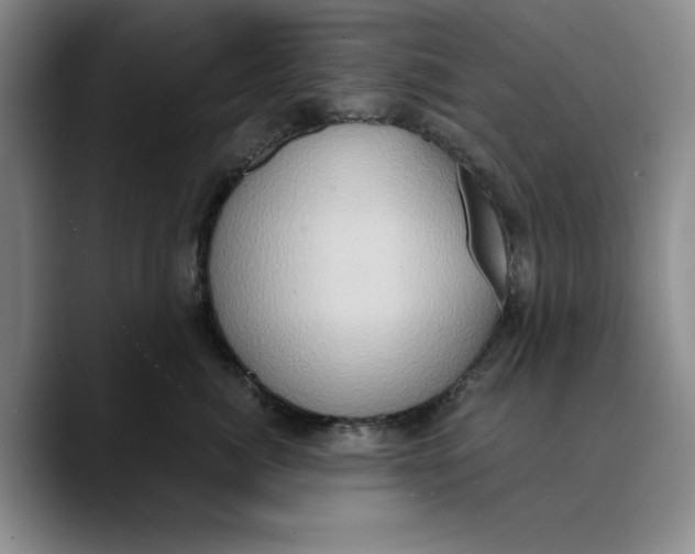 X0000089670764200707201639