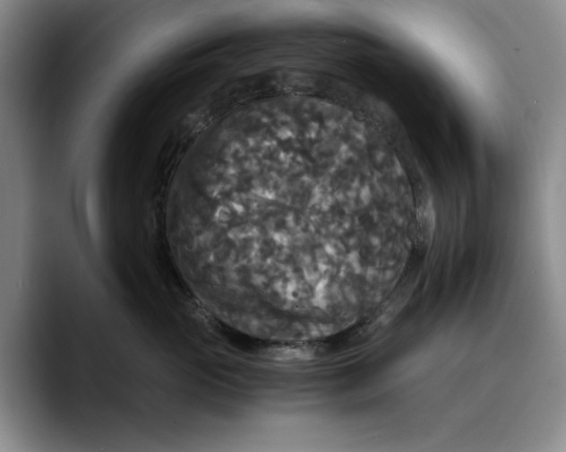 X0000089670765200707201639