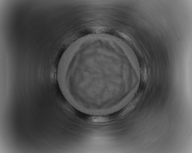 X0000089670766200707201639