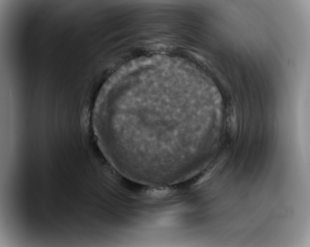 X0000089670767200707201639