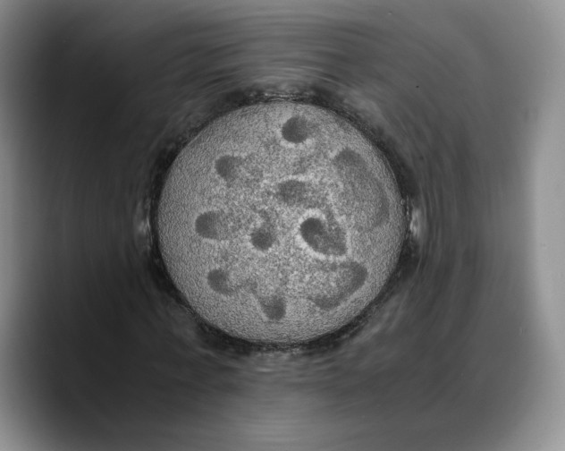 X0000089670771200707201638