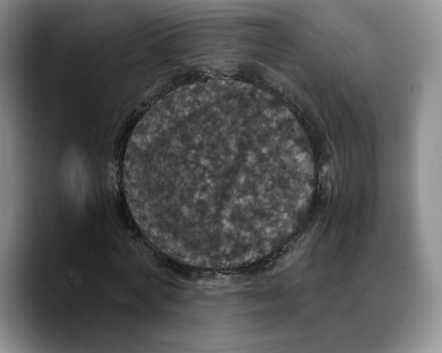 X0000089670772200707201638