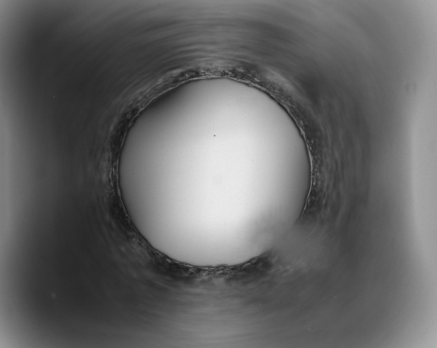 X0000089670773200707201638