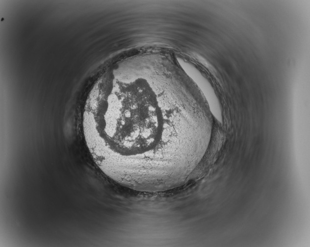 X0000089670775200707201638
