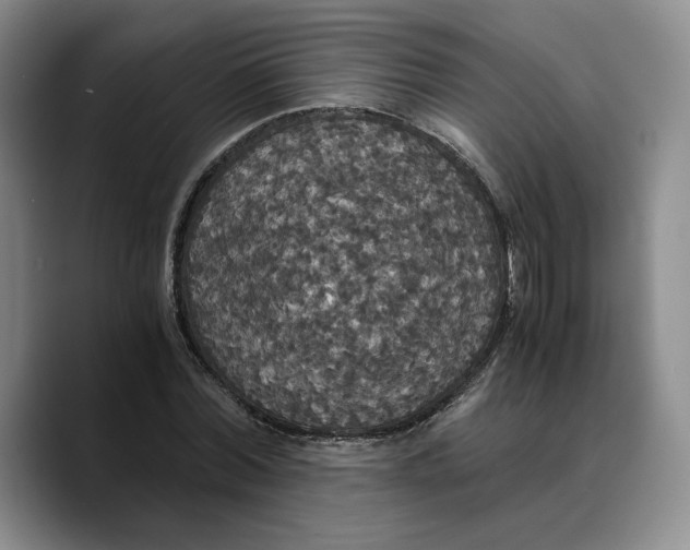 X0000089670780200707201638
