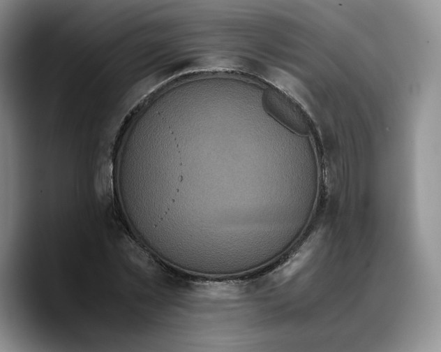 X0000089670781200707201638