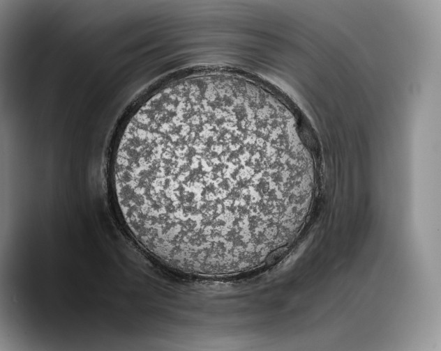 X0000089670783200707201638