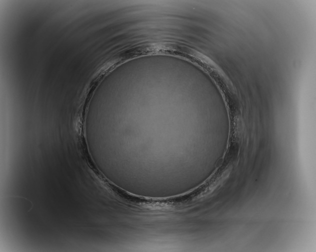 X0000089670785200707201638