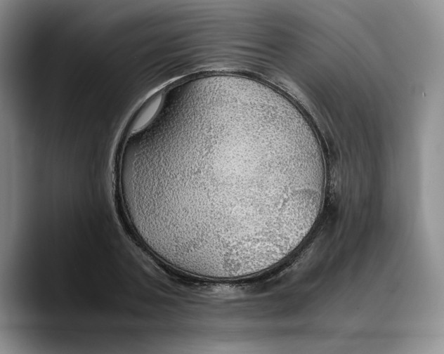 X0000089670787200707201638