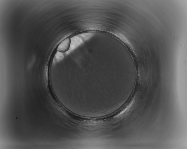 X0000089670790200707201638