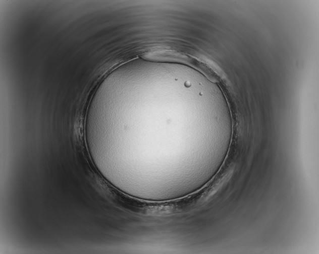 X0000089670793200707201638