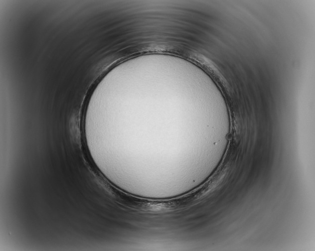 X0000089670794200707201638
