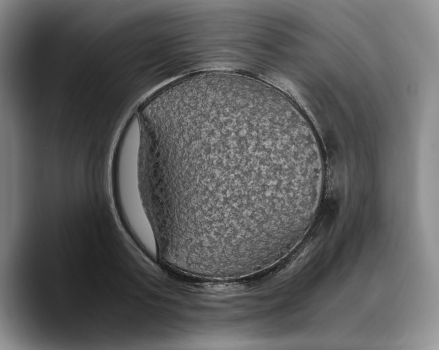 X0000089670795200707201638