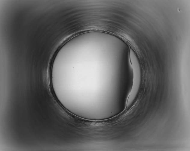 X0000089670796200707201638