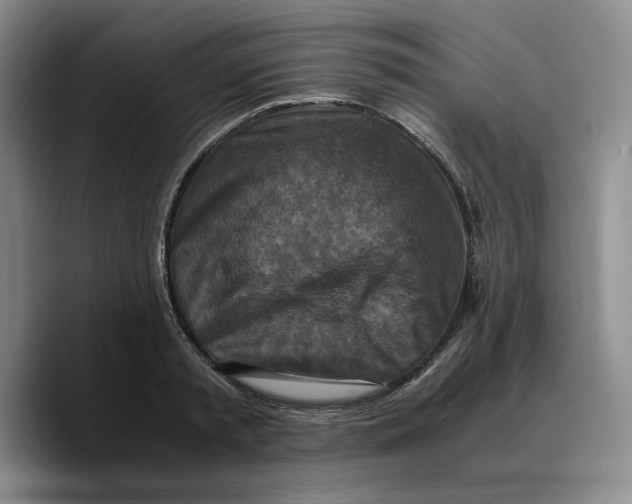 X0000089670797200707201638