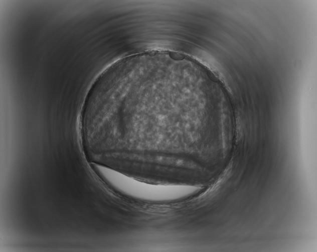 X0000089670798200707201638