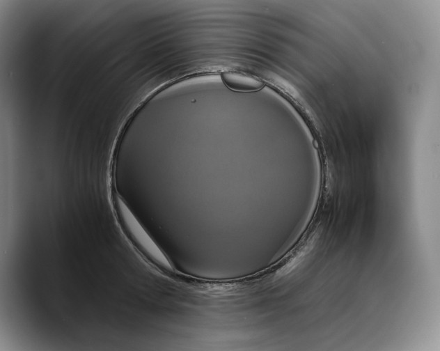 X0000089670802200707201638