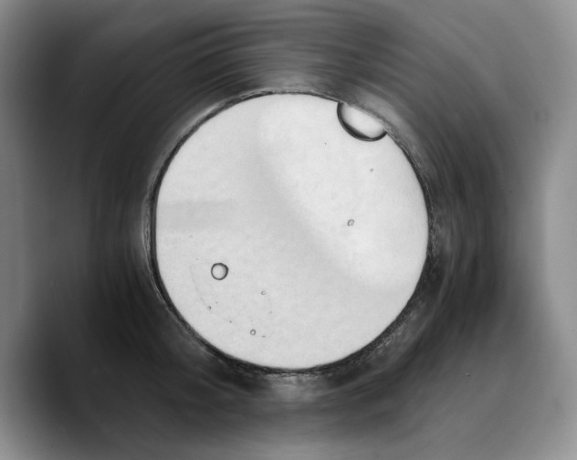 X0000089670804200707201638