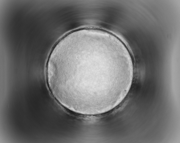 X0000089670807200707201638