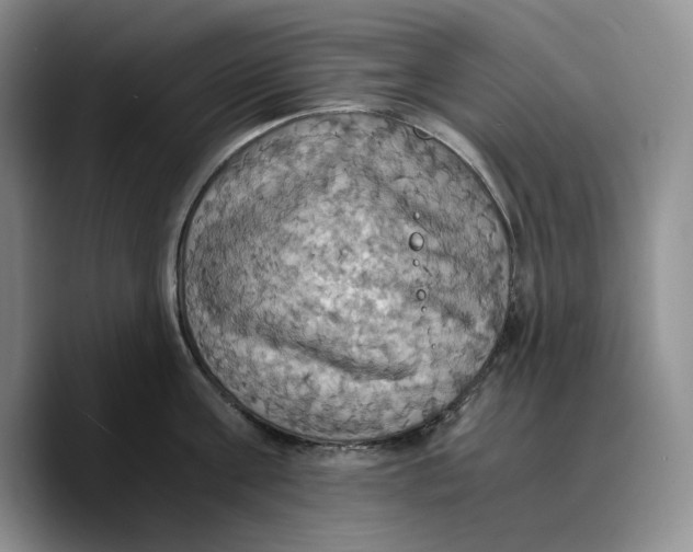 X0000089670811200707201638