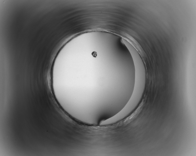 X0000089670812200707201638