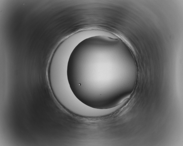X0000089670813200707201638