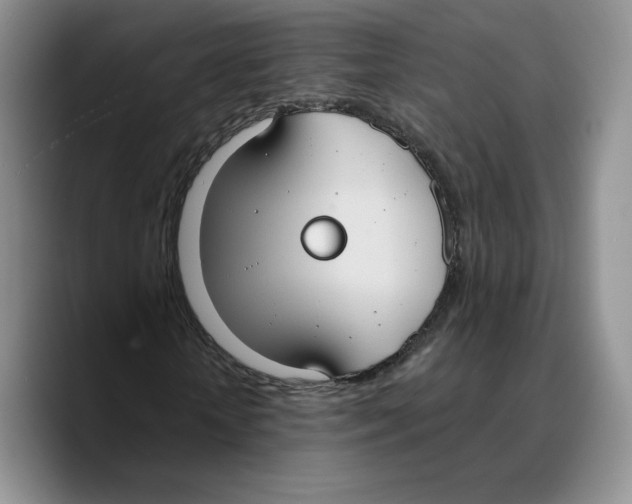 X0000089670818200707201637