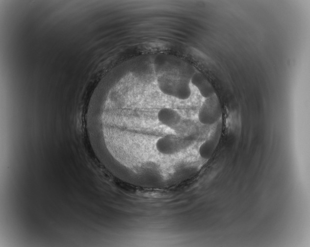 X0000089670819200707201637