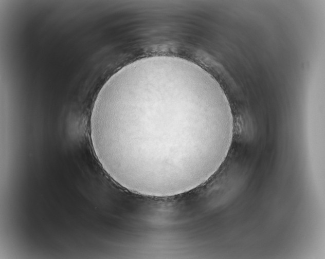 X0000089670820200707201637