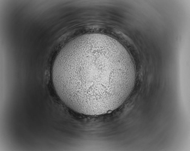 X0000089670821200707201637