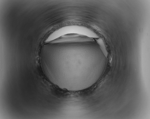 X0000089670822200707201637