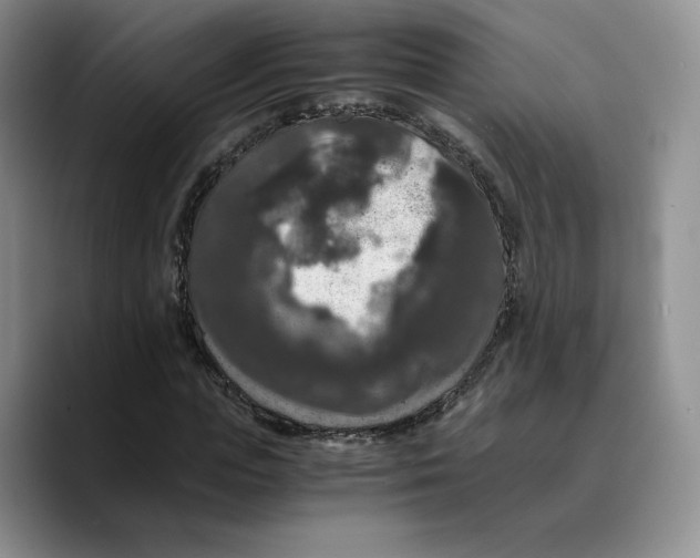 X0000089670823200707201637