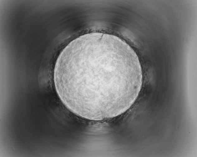 X0000089670824200707201637