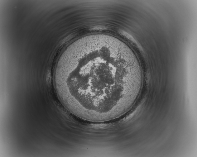 X0000089670825200707201637