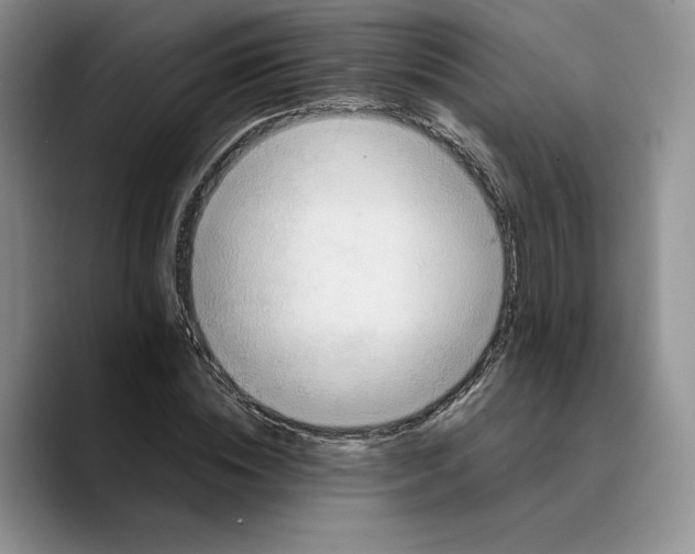X0000089670828200707201637