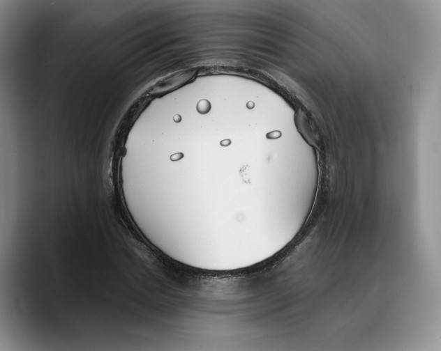 X0000089670830200707201637
