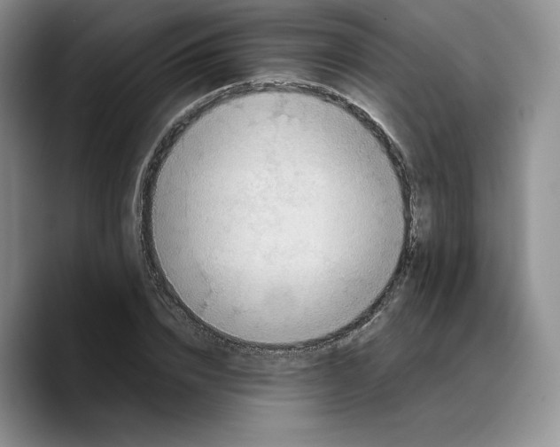 X0000089670832200707201637