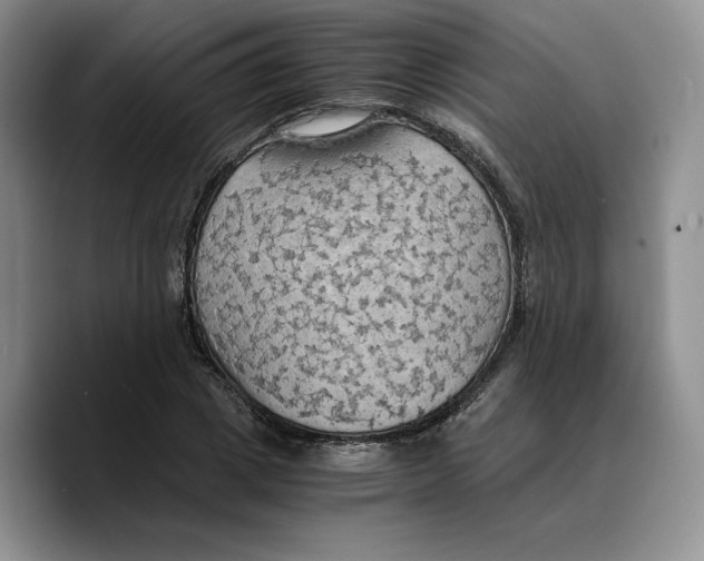 X0000089670833200707201637