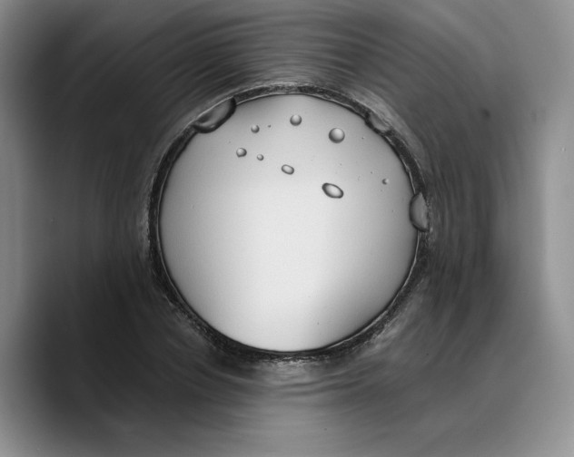 X0000089670834200707201637