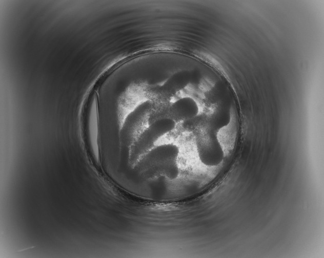 X0000089670835200707201637
