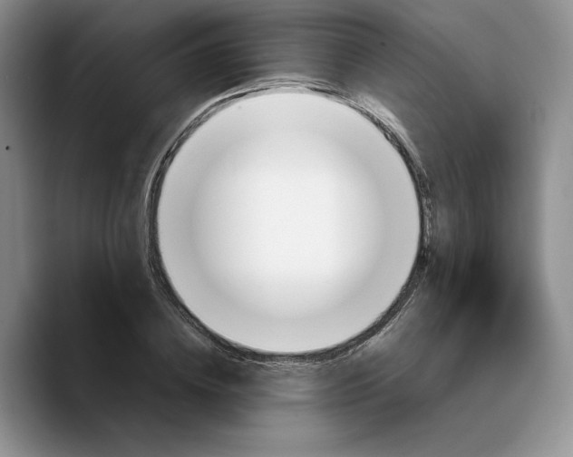 X0000089670836200707201637