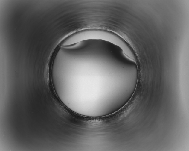 X0000089670838200707201637
