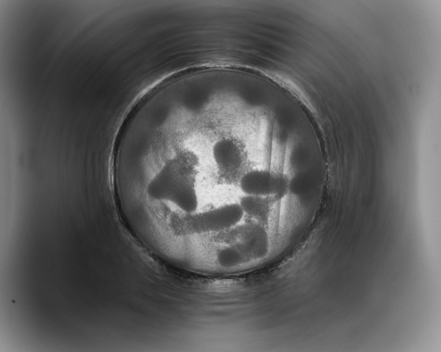 X0000089670839200707201637