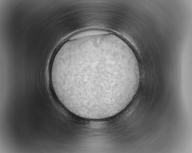 X0000089670840200707201637