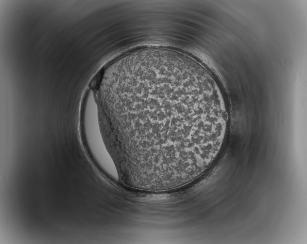 X0000089670845200707201637