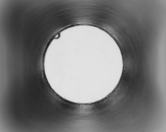 X0000089670848200707201637