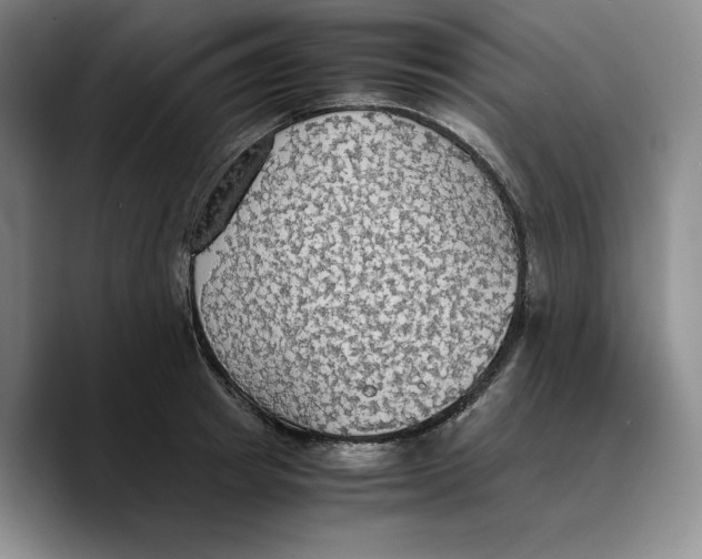 X0000089670849200707201637