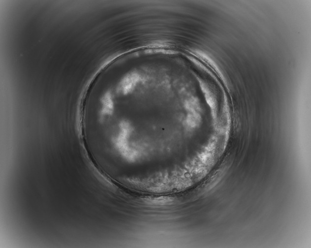 X0000089670851200707201637
