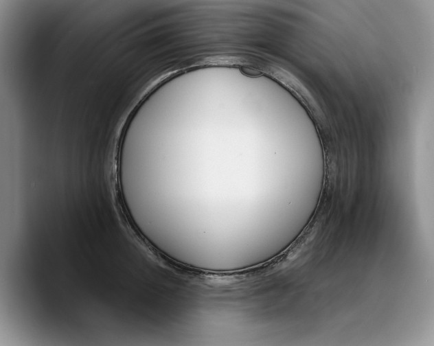 X0000089670852200707201637