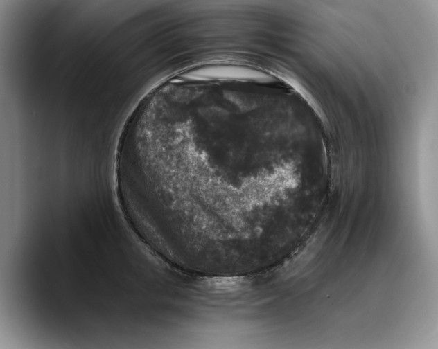 X0000089670853200707201637